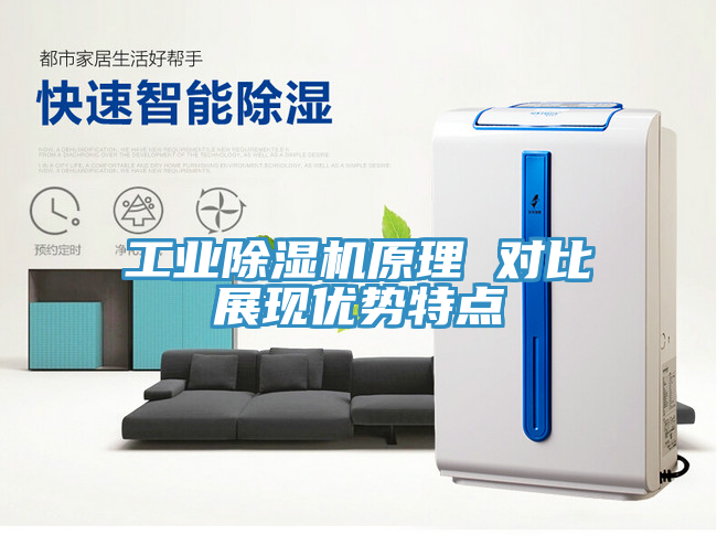 工業91看片网站原理 對比展現優勢特點