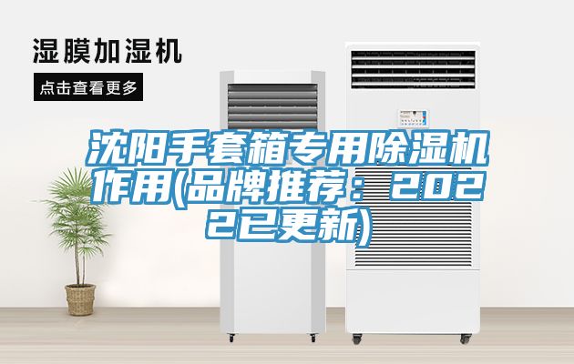 沈陽手套箱專用91看片网站作用(品牌推薦：2022已更新)