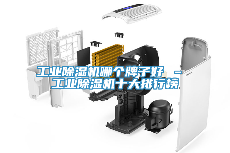 工業91看片网站哪個牌子好 – 工業91看片网站十大排行榜
