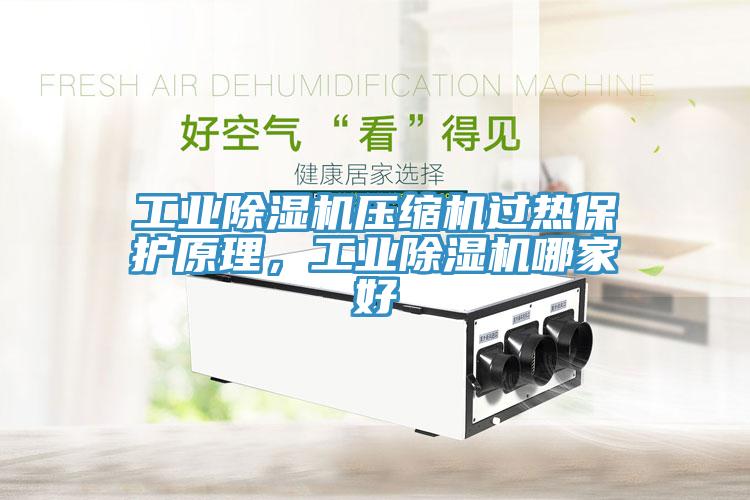 工業91看片网站壓縮機過熱保護原理，工業91看片网站哪家好