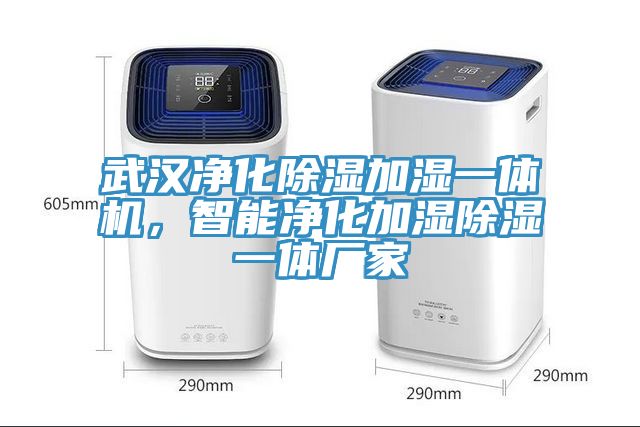 武漢淨化除濕加濕一體機，智能淨化加濕除濕一體廠家