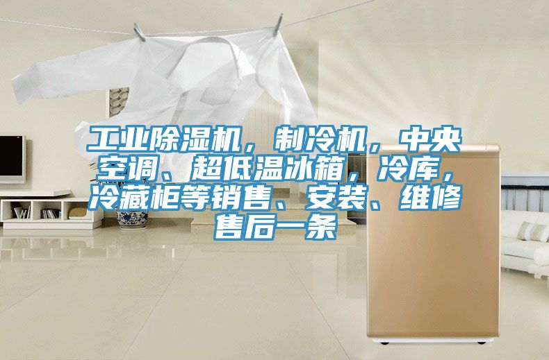 工業91看片网站，製冷機，中央空調、超低溫冰箱，冷庫，冷藏櫃等銷售、安裝、維修售後一條