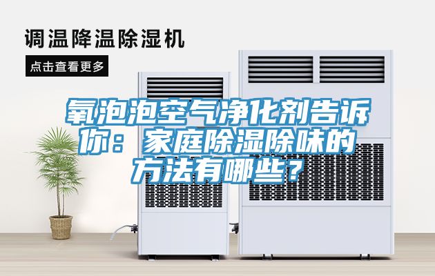 氧泡泡空氣淨化劑告訴你：家庭除濕除味的方法有哪些？