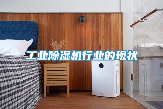 工業91看片网站行業的現狀