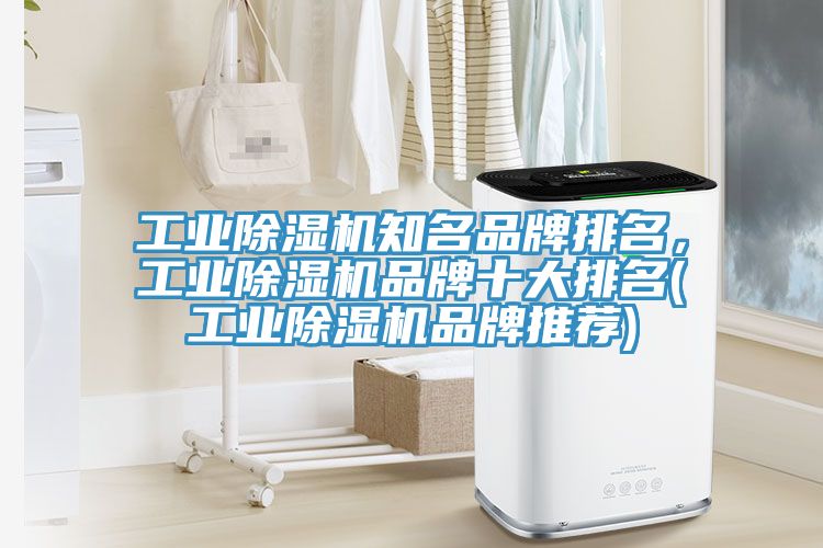 工業91看片网站知名品牌排名，工業91看片网站品牌十大排名(工業91看片网站品牌推薦)