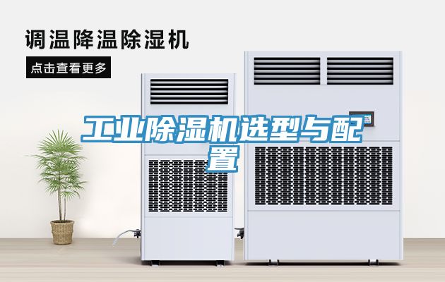 工業91看片网站選型與配置