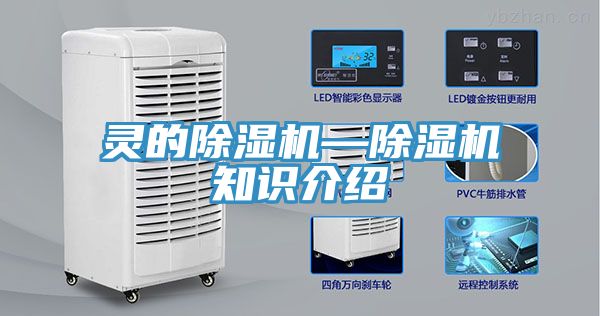 靈的91看片网站—91看片网站知識介紹