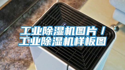 工業91看片网站圖片／工業91看片网站樣板圖
