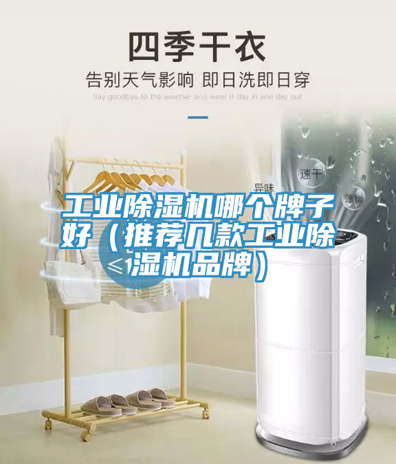 工業91看片网站哪個牌子好（推薦幾款工業91看片网站品牌）