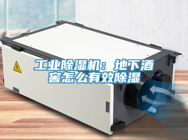 工業91看片网站：地下酒窖怎麽有效除濕