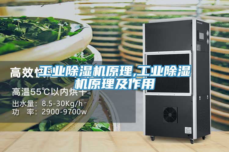 工業91看片网站原理,工業91看片网站原理及作用