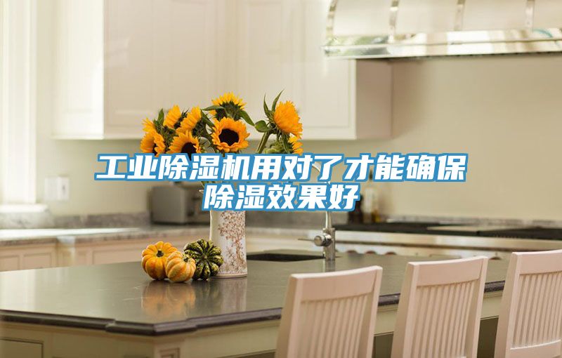工業91看片网站用對了才能確保除濕效果好