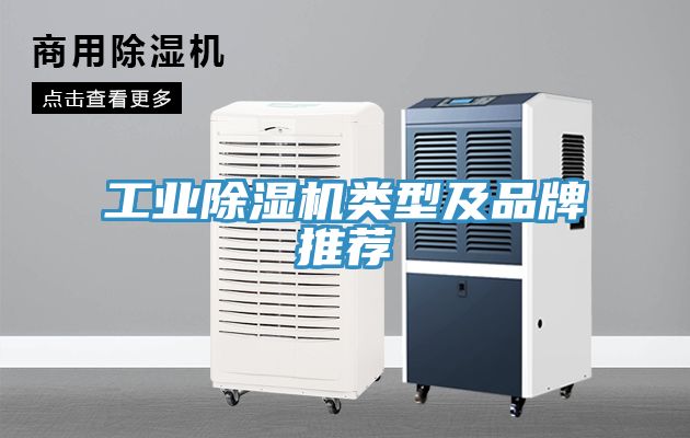 工業91看片网站類型及品牌推薦