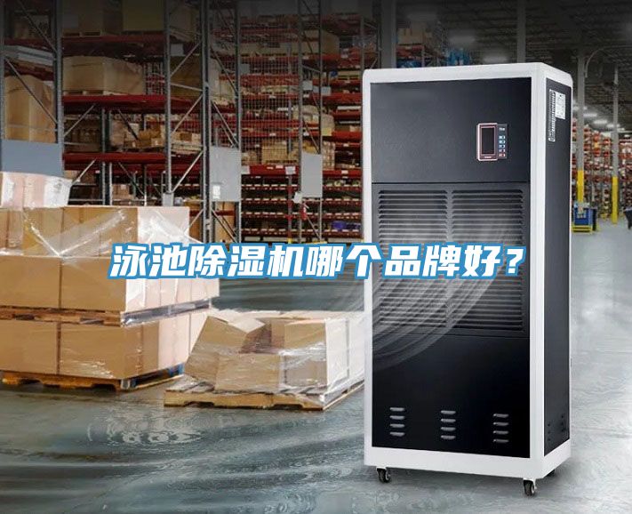 泳池91看片网站哪個品牌好？
