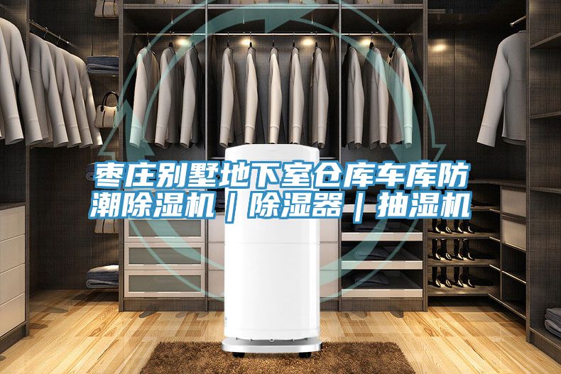 棗莊別墅地下室倉庫車庫防潮91看片网站｜除濕器｜抽濕機