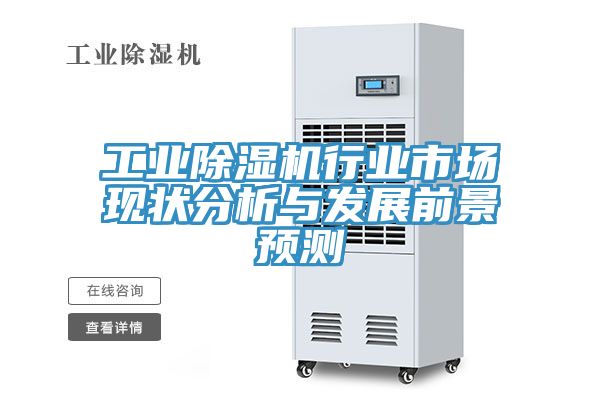 工業91看片网站行業市場現狀分析與發展前景預測