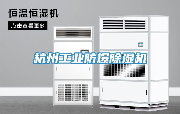 杭州工業防爆91看片网站