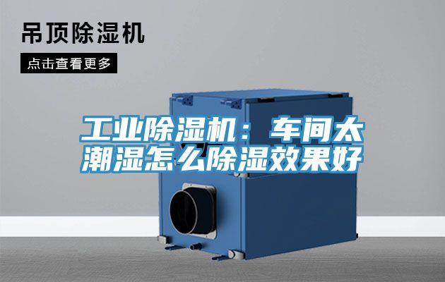 工業91看片网站：車間太潮濕怎麽除濕效果好