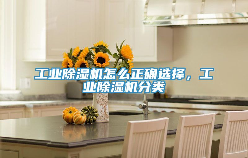 工業91看片网站怎麽正確選擇，工業91看片网站分類