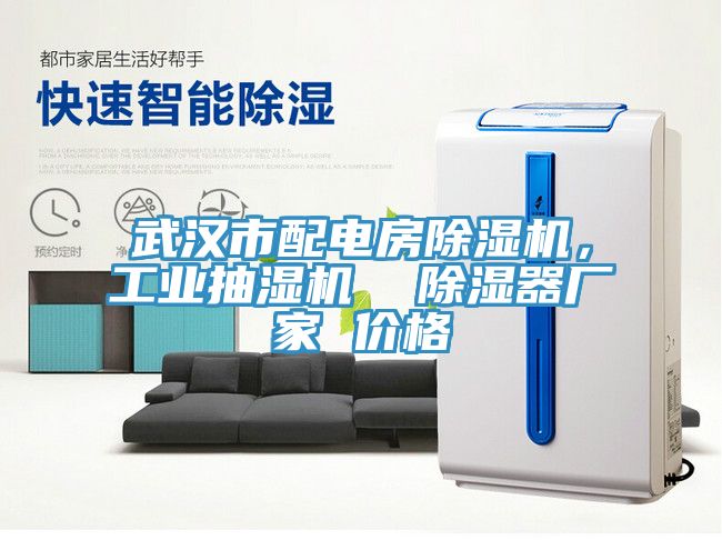 武漢市配電房91看片网站，工業抽濕機  除濕器廠家 價格