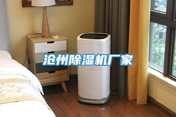 滄州91看片网站廠家