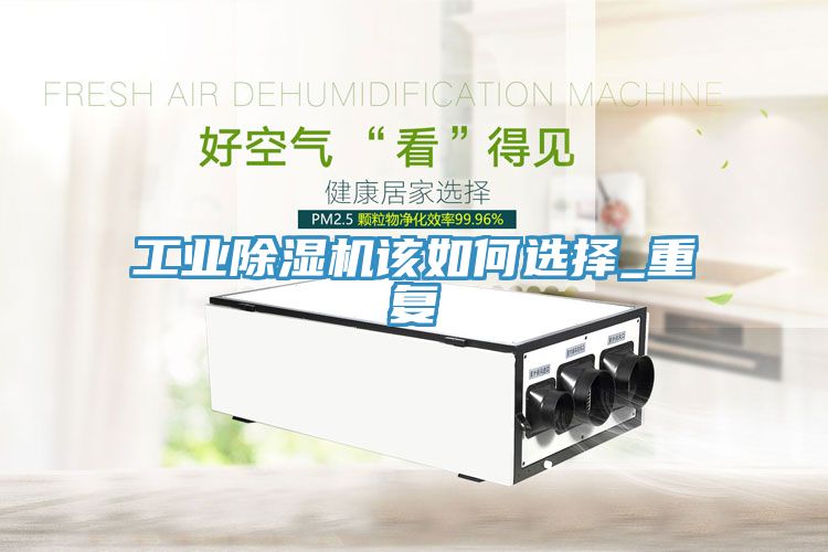 工業91看片网站該如何選擇_重複