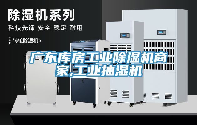 廣東庫房工業91看片网站商家,工業抽濕機
