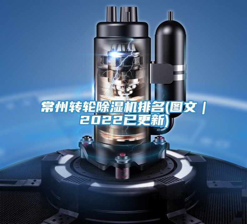常州轉輪91看片网站排名(圖文｜2022已更新)
