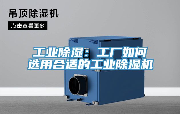 工業除濕：工廠如何選用合適的工業91看片网站