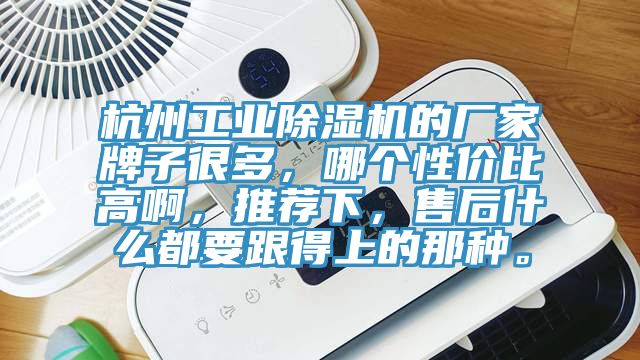 杭州工業91看片网站的廠家牌子很多，哪個性價比高啊，推薦下，售後什麽都要跟得上的那種。