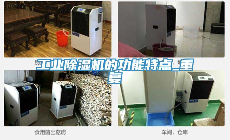 工業91看片网站的功能特點_重複