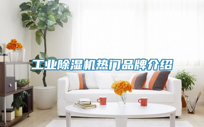 工業91看片网站熱門品牌介紹