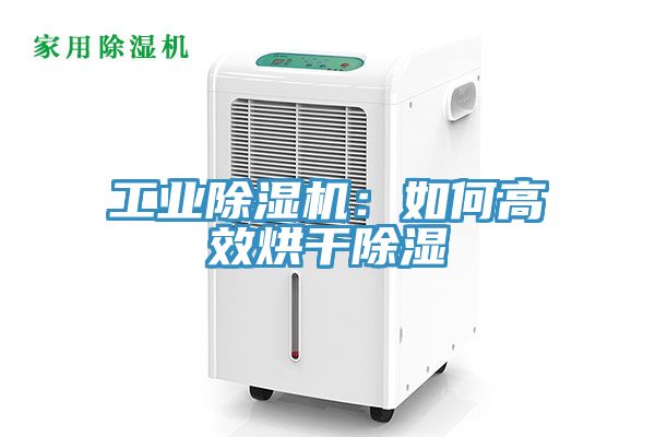 工業91看片网站：如何高效烘幹除濕