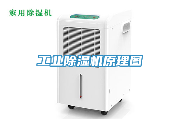 工業91看片网站原理圖