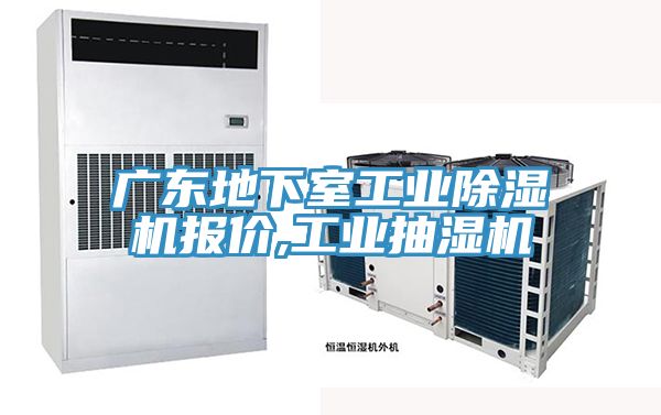廣東地下室工業91看片网站報價,工業抽濕機