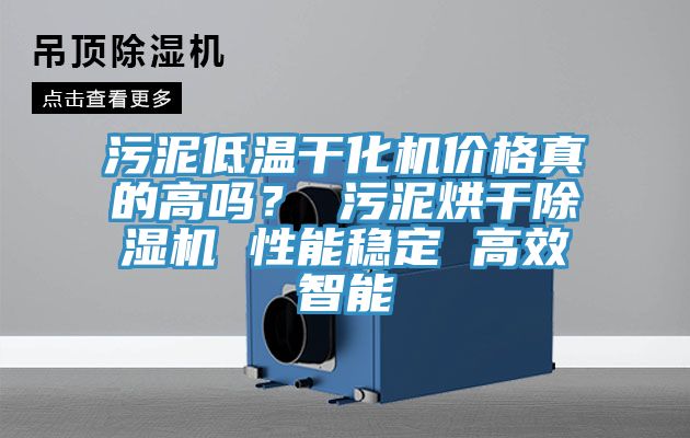 汙泥低溫幹化機價格真的高嗎？ 汙泥烘幹91看片网站 性能穩定 高效智能
