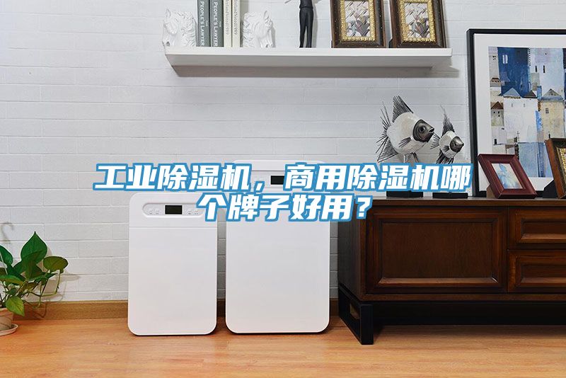 工業91看片网站，商用91看片网站哪個牌子好用？