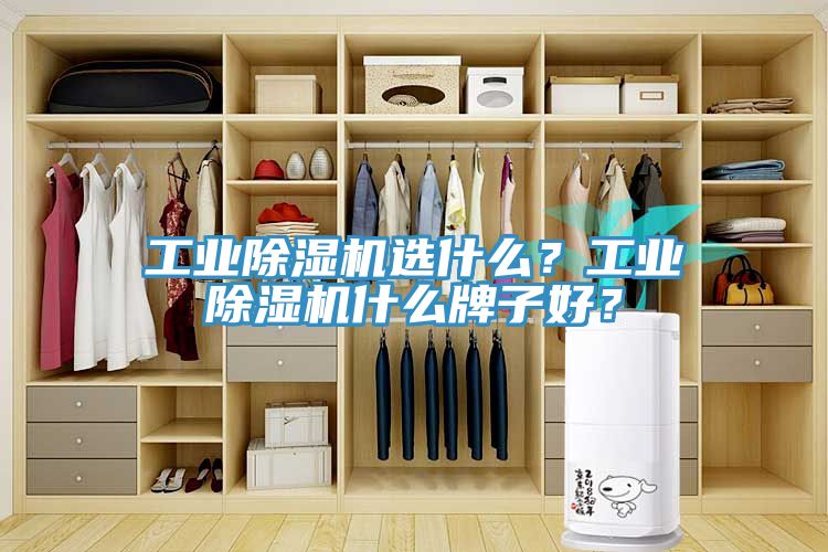 工業91看片网站選什麽？工業91看片网站什麽牌子好？