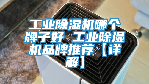 工業91看片网站哪個牌子好 工業91看片网站品牌推薦【詳解】