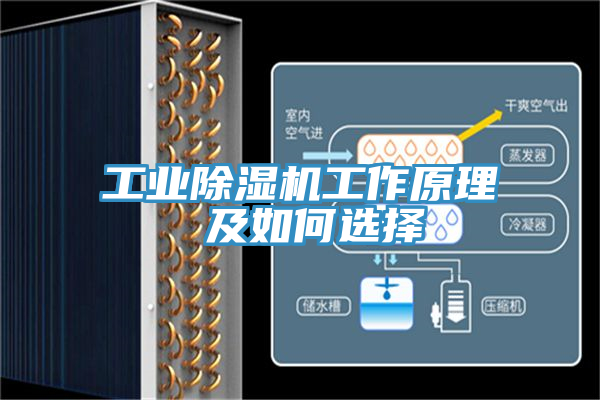 工業91看片网站工作原理 及如何選擇