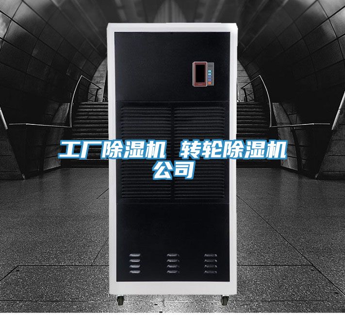工廠91看片网站 轉輪91看片网站公司