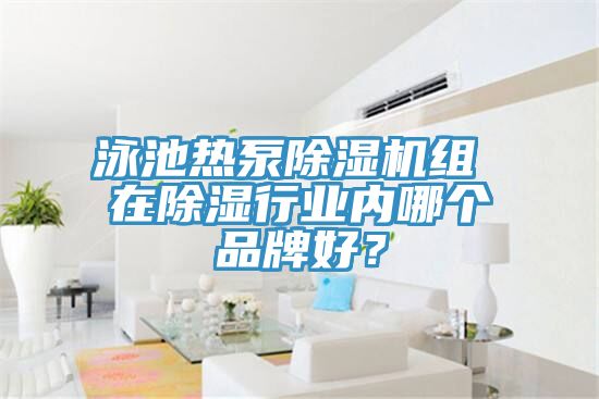 泳池熱泵91看片网站組 在除濕行業內哪個品牌好？