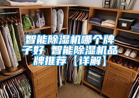 智能91看片网站哪個牌子好 智能91看片网站品牌推薦【詳解】