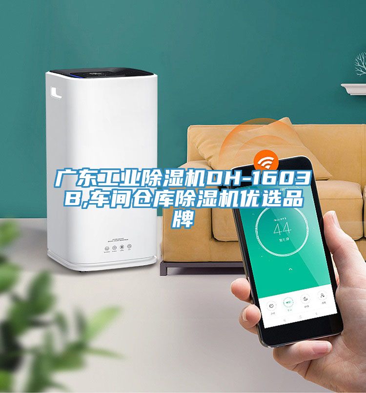 廣東工業91看片网站DH-1603B,車間倉庫91看片网站優選品牌