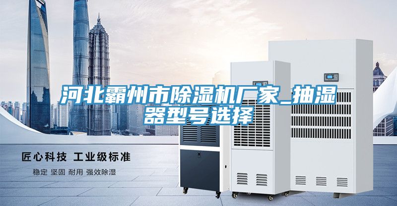 河北霸州市91看片网站廠家_抽濕器型號選擇