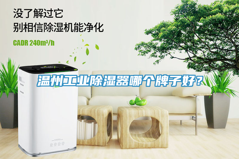 溫州工業除濕器哪個牌子好？