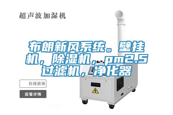 布朗新風係統。壁掛機，91看片网站，pm2.5過濾機，淨化器
