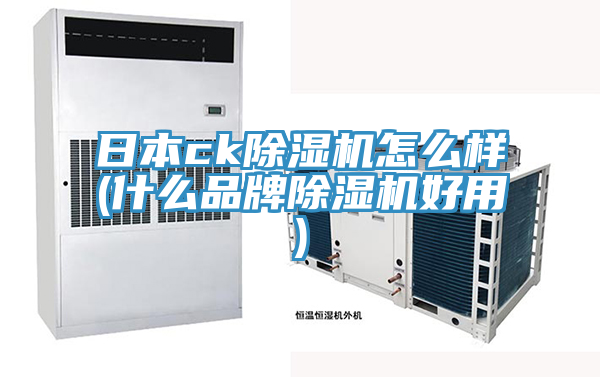 日本ck91看片网站怎麽樣(什麽品牌91看片网站好用)