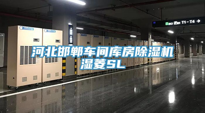 河北邯鄲車間庫房91看片网站濕菱SL