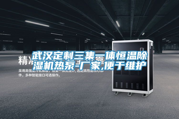 武漢定製三集一體恒溫91看片网站熱泵-廠家,便於維護